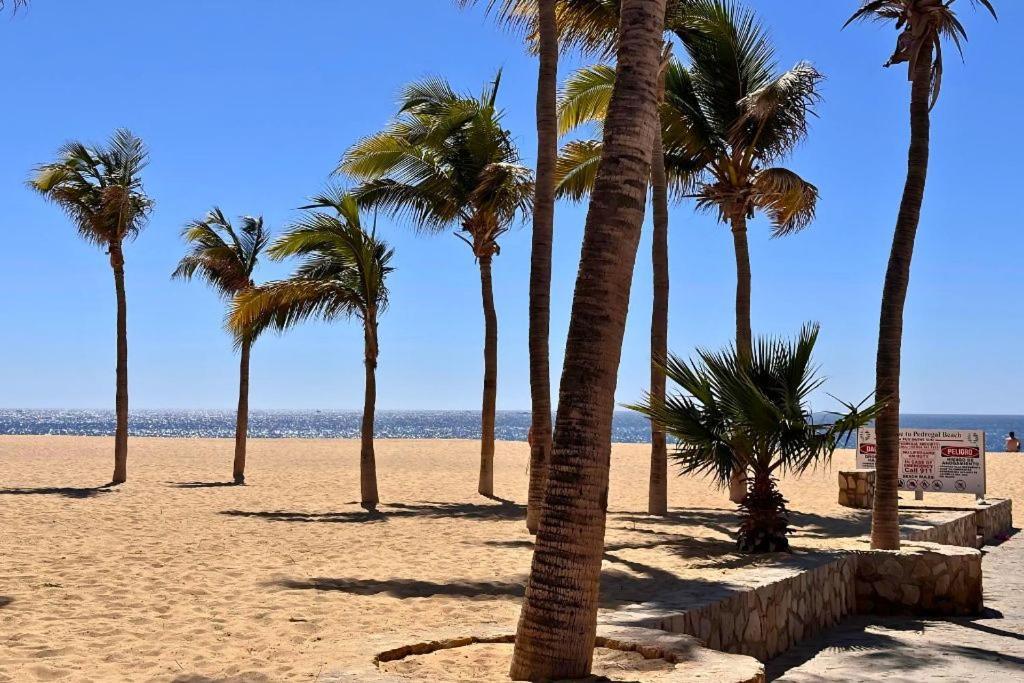 Casa Gallo, Heated Pool, Exclusive Beach & Great Location Cabo San Lucas Exterior photo